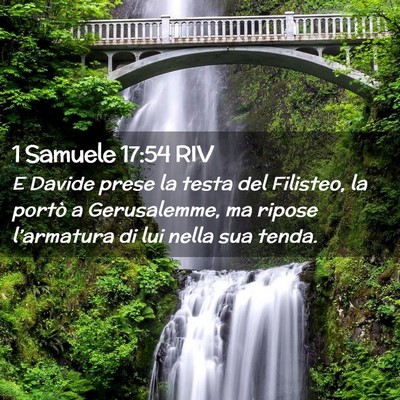Picture 02 - 1 Samuele 17:54 RIV - E Davide prese la testa del Filisteo, la portò a - Bible Verse Picture