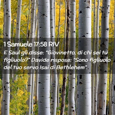 Picture 02 - 1 Samuele 17:58 RIV - E Saul gli disse: “Giovinetto, di chi sei tu - Bible Verse Picture