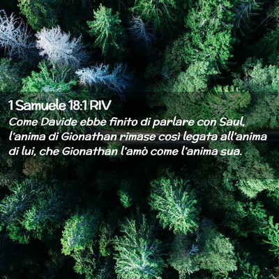 Picture 02 - 1 Samuele 18:1 RIV - Come Davide ebbe finito di parlare con Saul, - Bible Verse Picture