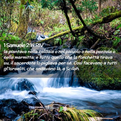 Picture 02 - 1 Samuele 2:14 RIV - la piantava nella caldaia o nel paiuolo o nella - Bible Verse Picture
