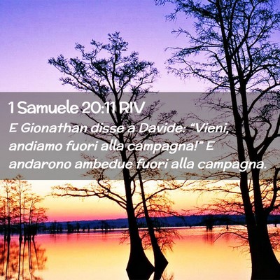 Picture 02 - 1 Samuele 20:11 RIV - E Gionathan disse a Davide: “Vieni, andiamo - Bible Verse Picture