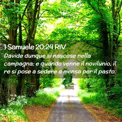 Picture 02 - 1 Samuele 20:24 RIV - Davide dunque si nascose nella campagna; e quando - Bible Verse Picture