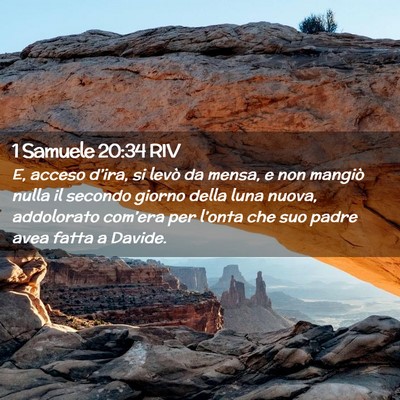 Picture 02 - 1 Samuele 20:34 RIV - E, acceso d’ira, si levò da mensa, e non - Bible Verse Picture
