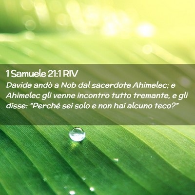 Picture 02 - 1 Samuele 21:1 RIV - Davide andò a Nob dal sacerdote Ahimelec; e - Bible Verse Picture