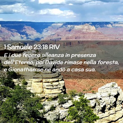 Picture 02 - 1 Samuele 23:18 RIV - E i due fecero alleanza in presenza - Bible Verse Picture