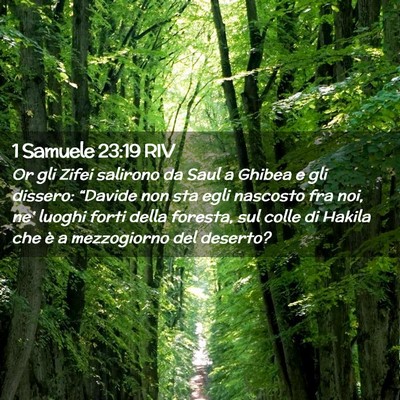 Picture 02 - 1 Samuele 23:19 RIV - Or gli Zifei salirono da Saul a Ghibea e gli - Bible Verse Picture