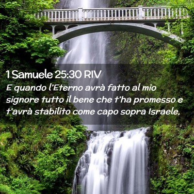 Picture 02 - 1 Samuele 25:30 RIV - E quando l’Eterno avrà fatto al mio signore - Bible Verse Picture