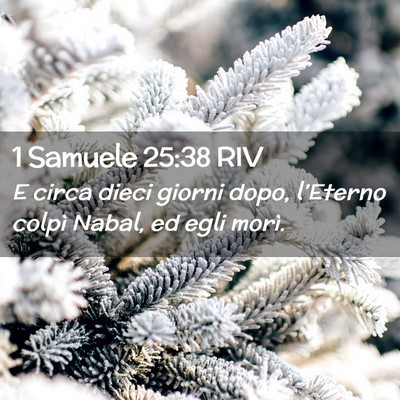 Picture 02 - 1 Samuele 25:38 RIV - E circa dieci giorni dopo, l’Eterno colpì - Bible Verse Picture