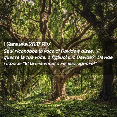 Picture 02 - 1 Samuele 26:17 RIV - Saul riconobbe la voce di Davide e disse: “E’ - Bible Verse Picture