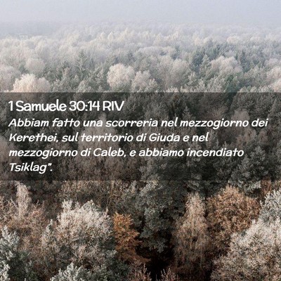 Picture 02 - 1 Samuele 30:14 RIV - Abbiam fatto una scorreria nel mezzogiorno dei - Bible Verse Picture