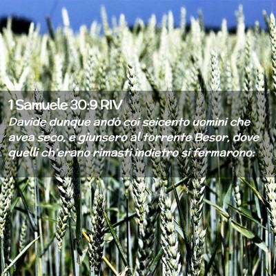 Picture 02 - 1 Samuele 30:9 RIV - Davide dunque andò coi seicento uomini che avea - Bible Verse Picture