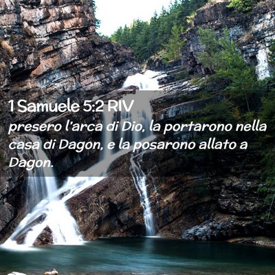 Picture 02 - 1 Samuele 5:2 RIV - presero l’arca di Dio, la portarono nella casa - Bible Verse Picture
