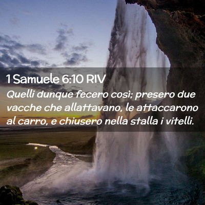 Picture 02 - 1 Samuele 6:10 RIV - Quelli dunque fecero così; presero due vacche - Bible Verse Picture