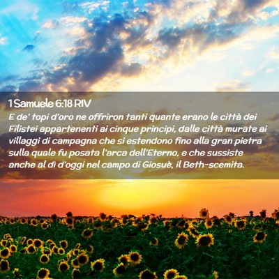 Picture 02 - 1 Samuele 6:18 RIV - E de’ topi d’oro ne offriron tanti quante - Bible Verse Picture