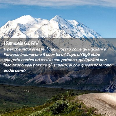 Picture 02 - 1 Samuele 6:6 RIV - E perché indurereste il cuor vostro come gli - Bible Verse Picture