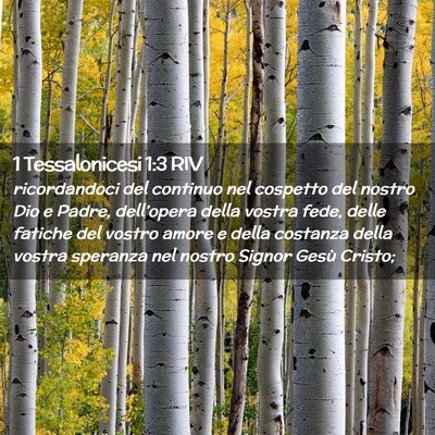 Picture 02 - 1 Tessalonicesi 1:3 RIV - ricordandoci del continuo nel cospetto del nostro - Bible Verse Picture