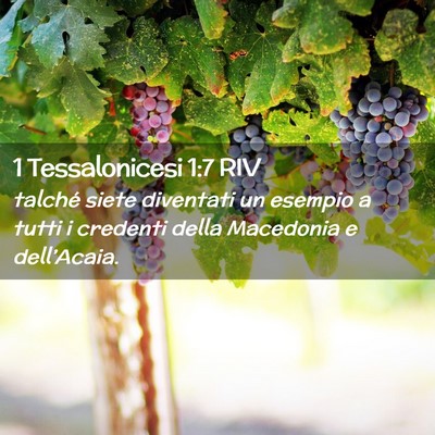 Picture 02 - 1 Tessalonicesi 1:7 RIV - talché siete diventati un esempio a tutti i - Bible Verse Picture