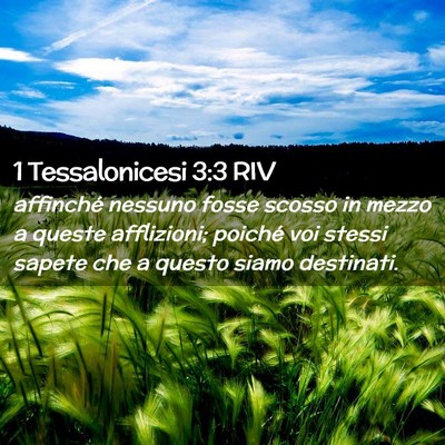 Picture 02 - 1 Tessalonicesi 3:3 RIV - affinché nessuno fosse scosso in mezzo a queste - Bible Verse Picture