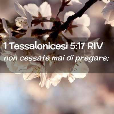 Picture 02 - 1 Tessalonicesi 5:17 RIV - non cessate mai di - Bible Verse Picture