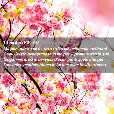 Picture 02 - 1 Timoteo 1:16 RIV - Ma per questo mi è stata fatta misericordia, - Bible Verse Picture
