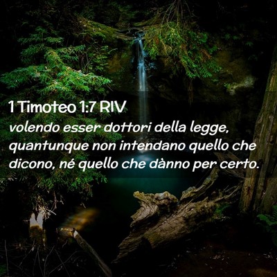 Picture 02 - 1 Timoteo 1:7 RIV - volendo esser dottori della legge, quantunque non - Bible Verse Picture