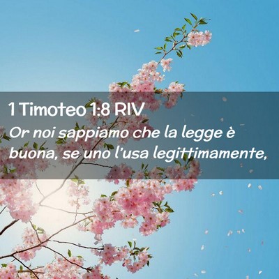 Picture 02 - 1 Timoteo 1:8 RIV - Or noi sappiamo che la legge è buona, se uno - Bible Verse Picture