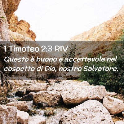 Picture 02 - 1 Timoteo 2:3 RIV - Questo è buono e accettevole nel cospetto di - Bible Verse Picture