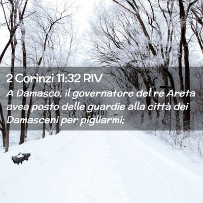 Picture 02 - 2 Corinzi 11:32 RIV - A Damasco, il governatore del re Areta avea posto - Bible Verse Picture