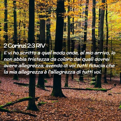 Picture 02 - 2 Corinzi 2:3 RIV - E vi ho scritto a quel modo onde, al mio arrivo, - Bible Verse Picture