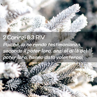Picture 02 - 2 Corinzi 8:3 RIV - Poiché, io ne rendo testimonianza, secondo il - Bible Verse Picture
