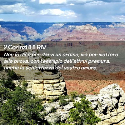 Picture 02 - 2 Corinzi 8:8 RIV - Non lo dico per darvi un ordine, ma per mettere - Bible Verse Picture