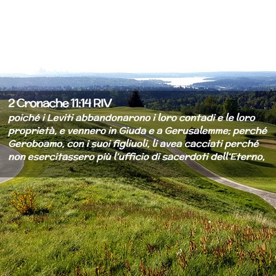 Picture 02 - 2 Cronache 11:14 RIV - poiché i Leviti abbandonarono i loro contadi e - Bible Verse Picture