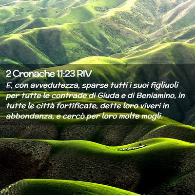 Picture 02 - 2 Cronache 11:23 RIV - E, con avvedutezza, sparse tutti i suoi figliuoli - Bible Verse Picture