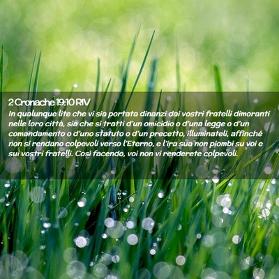 Picture 02 - 2 Cronache 19:10 RIV - In qualunque lite che vi sia portata dinanzi dai - Bible Verse Picture