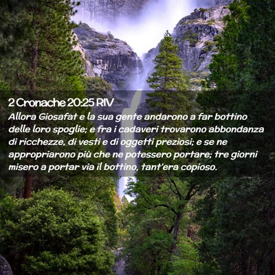 Picture 02 - 2 Cronache 20:25 RIV - Allora Giosafat e la sua gente andarono a far - Bible Verse Picture