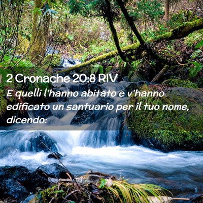 Picture 02 - 2 Cronache 20:8 RIV - E quelli l’hanno abitato e v’hanno edificato - Bible Verse Picture