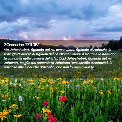 Picture 02 - 2 Cronache 22:11 RIV - Ma Jehoshabet, figliuola del re, prese Joas, - Bible Verse Picture