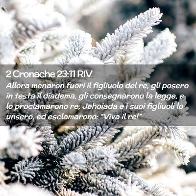 Picture 02 - 2 Cronache 23:11 RIV - Allora menaron fuori il figliuolo del re, gli - Bible Verse Picture