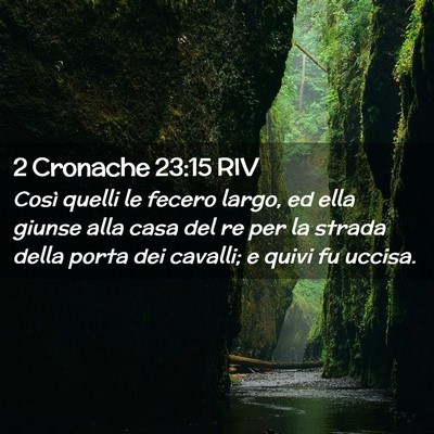 Picture 02 - 2 Cronache 23:15 RIV - Così quelli le fecero largo, ed ella giunse alla - Bible Verse Picture
