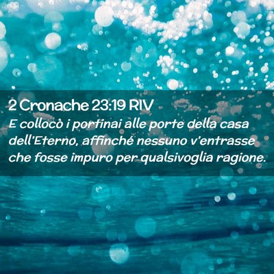 Picture 02 - 2 Cronache 23:19 RIV - E collocò i portinai alle porte della casa - Bible Verse Picture