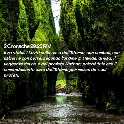 Picture 02 - 2 Cronache 29:25 RIV - Il re stabilì i Leviti nella casa dell’Eterno, - Bible Verse Picture