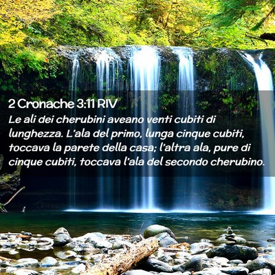Picture 02 - 2 Cronache 3:11 RIV - Le ali dei cherubini aveano venti cubiti di - Bible Verse Picture