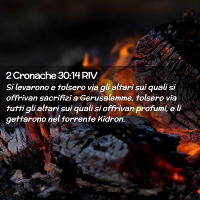 Picture 02 - 2 Cronache 30:14 RIV - Si levarono e tolsero via gli altari sui quali si - Bible Verse Picture