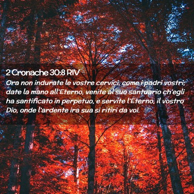 Picture 02 - 2 Cronache 30:8 RIV - Ora non indurate le vostre cervici, come i padri - Bible Verse Picture
