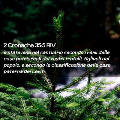 Picture 02 - 2 Cronache 35:5 RIV - e statevene nel santuario secondo i rami delle - Bible Verse Picture