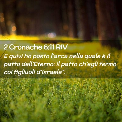 Picture 02 - 2 Cronache 6:11 RIV - E quivi ho posto l’arca nella quale è il patto - Bible Verse Picture