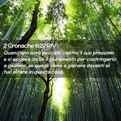 Picture 02 - 2 Cronache 6:22 RIV - Quand’uno avrà peccato contro il suo prossimo - Bible Verse Picture