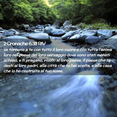 Picture 02 - 2 Cronache 6:38 RIV - se tornano a te con tutto il loro cuore e con - Bible Verse Picture
