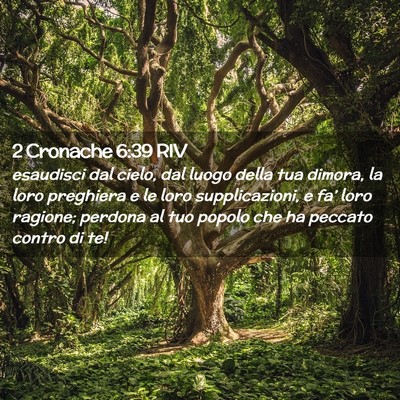 Picture 02 - 2 Cronache 6:39 RIV - esaudisci dal cielo, dal luogo della tua dimora, - Bible Verse Picture