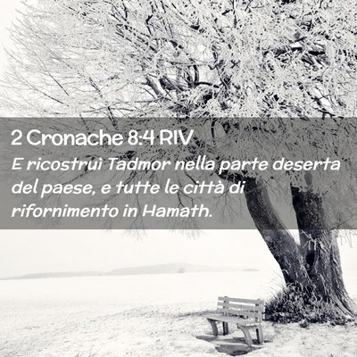 Picture 02 - 2 Cronache 8:4 RIV - E ricostruì Tadmor nella parte deserta del - Bible Verse Picture